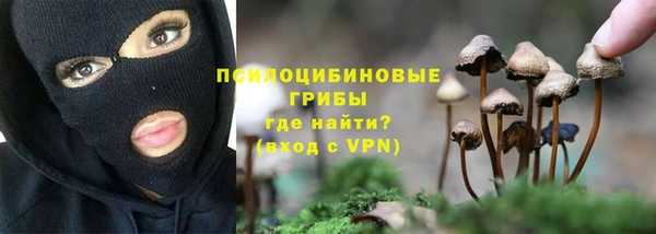 Альфа ПВП Абаза