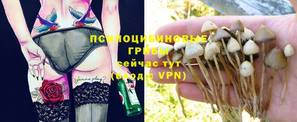 ешки Навашино