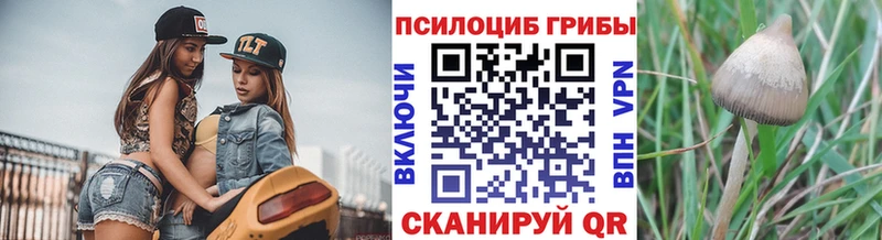 Псилоцибиновые грибы прущие грибы МЕГА ссылка Калачинск
